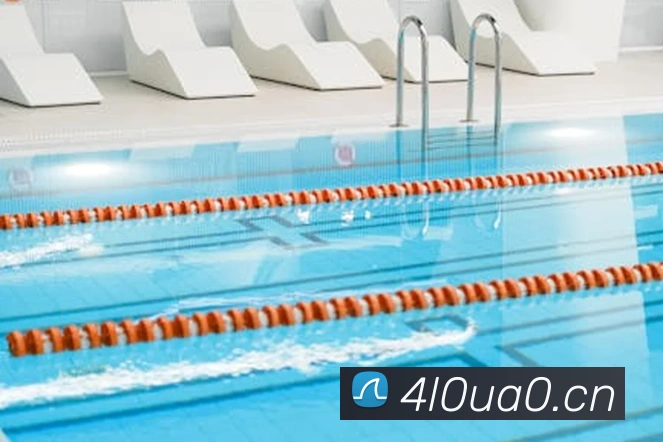 星空体育在线观看平台平台生态图